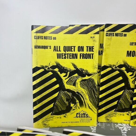 Cliffs Notes Book Bundle Vintage Novels Reading Classics - Picture 2 of 10